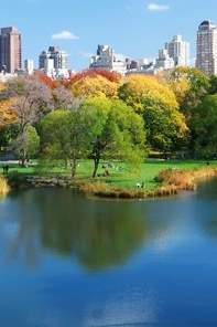Visit New York City - NYC Trip Planning | Visit a City